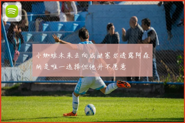 小蜘蛛未来去向成谜塞尔透露阿森纳是唯一选择但他并不愿意