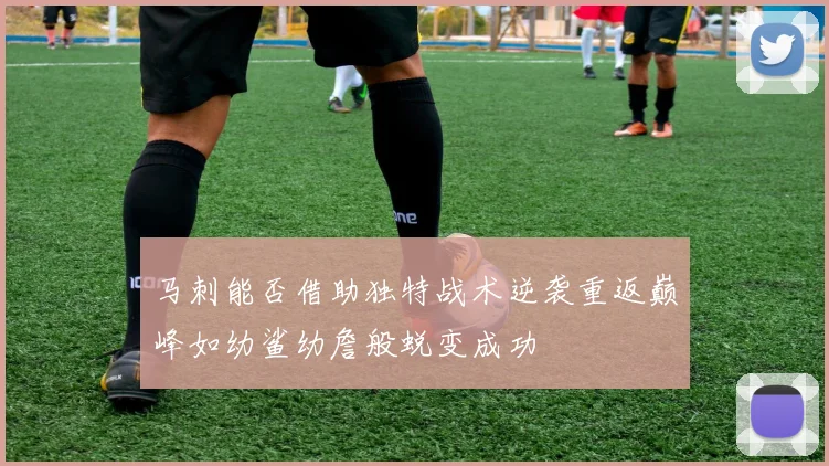 马刺能否借助独特战术逆袭重返巅峰如幼鲨幼詹般蜕变成功